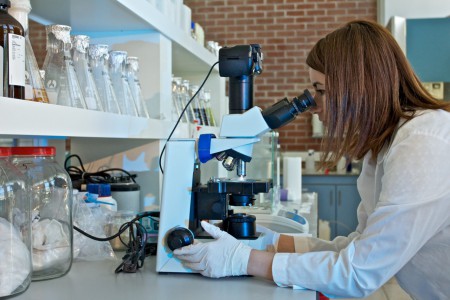 Mikroskobik inceleme