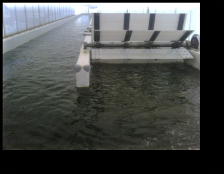 Yarı-açık  üretim sistemi