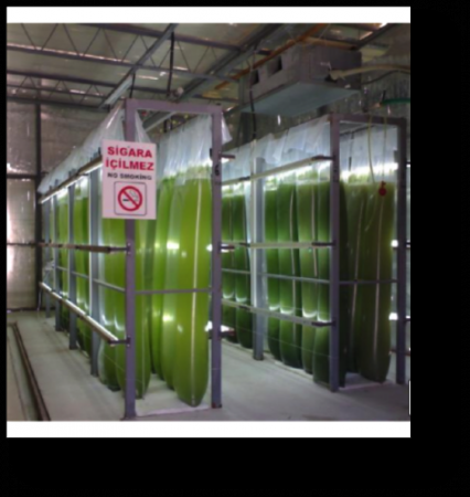 Torba reaktör kapalı üretim sistemi